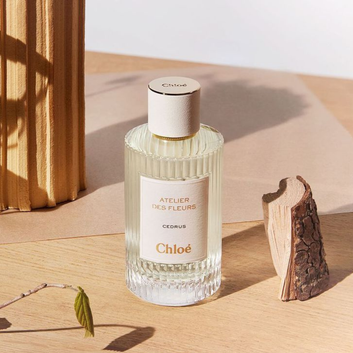 CHLOÉ Atelier des Fleurs Cedrus Eau de Parfum 1.6 floz 50ml new in box